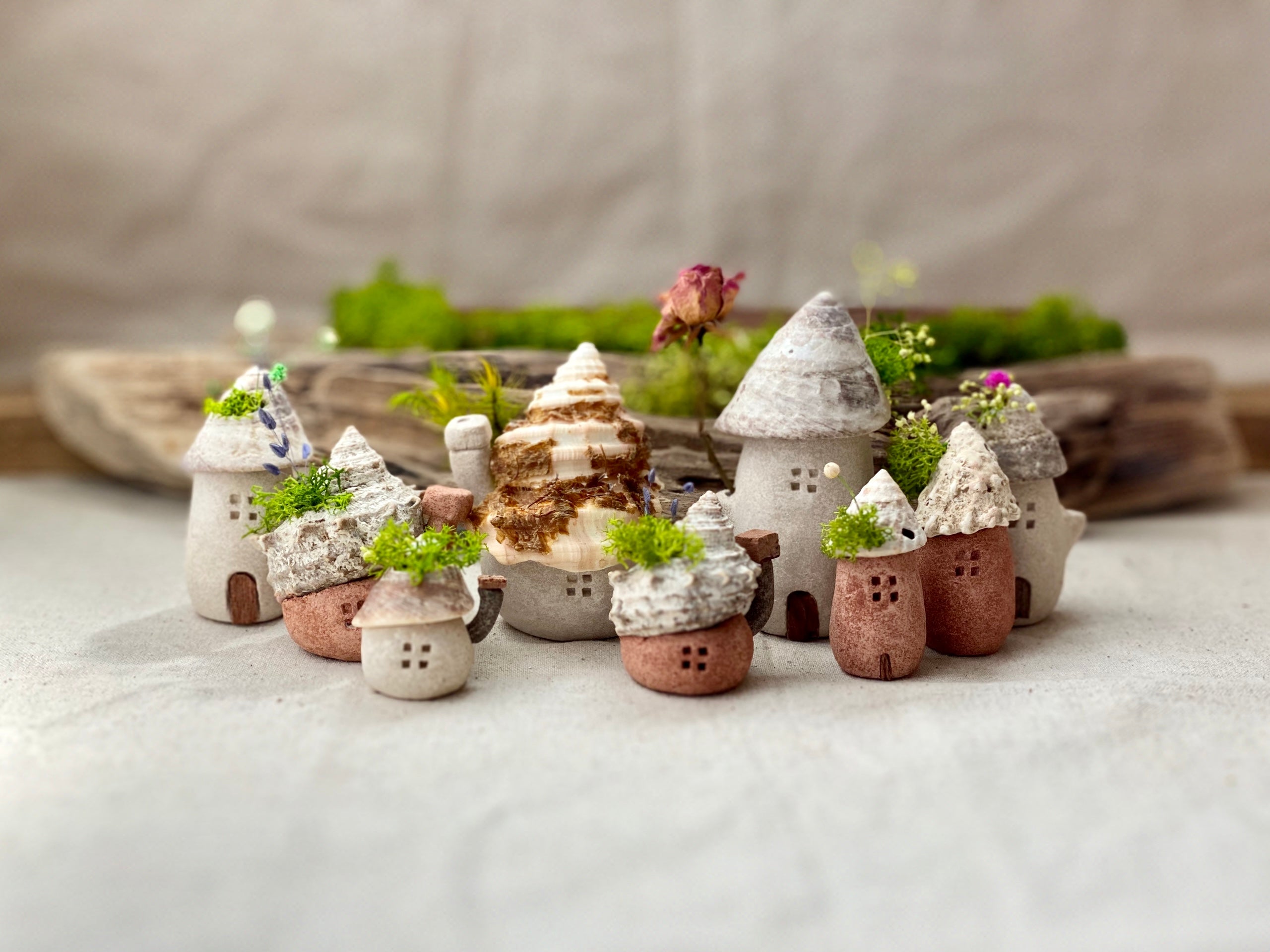 すべての商品 – しおかぜレモンのまち Lemon Breeze Town