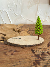 画像をギャラリービューアに読み込む, オブジェ用木のベース(横長)