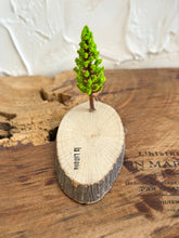 画像をギャラリービューアに読み込む, オブジェ用木のベース(横長)