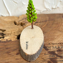 画像をギャラリービューアに読み込む, オブジェ用木のベース(横長)