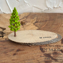 画像をギャラリービューアに読み込む, オブジェ用木のベース(横長)