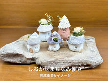 画像をギャラリービューアに読み込む, しおかぜまちなみ便〜毎月届く小さなお家(送料込み)