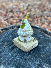 Load image into Gallery viewer, 【一点もの】貝殻屋根の螺旋の塔 - 流木台座付き / Maison Spirale