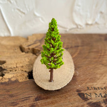 画像をギャラリービューアに読み込む, オブジェ用木のベース(横長)