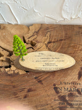 画像をギャラリービューアに読み込む, オブジェ用木のベース(横長)