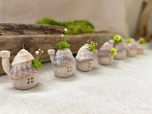 画像をギャラリービューアに読み込む, 貝殻屋根の小さなお家 ぽってりS〜プリザーブドモス&フラワーの貝殻オブジェ