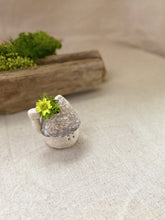 画像をギャラリービューアに読み込む, 貝殻屋根の小さなお家 ぽってりS〜プリザーブドモス&フラワーの貝殻オブジェ