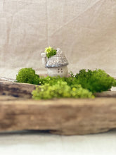 画像をギャラリービューアに読み込む, 貝殻屋根の小さなお家 ぽってりS〜プリザーブドモス&フラワーの貝殻オブジェ