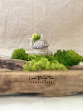 画像をギャラリービューアに読み込む, 貝殻屋根の小さなお家 ぽってりS〜プリザーブドモス&フラワーの貝殻オブジェ