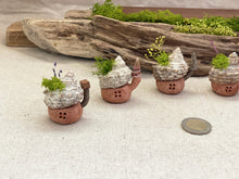 画像をギャラリービューアに読み込む, 貝殻屋根の小さなお家 ぽってりS(ココアブラウン)〜プリザーブドモス&フラワーの貝殻オブジェ