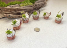 画像をギャラリービューアに読み込む, 貝殻屋根の小さなお家 ぽってりS(ココアブラウン)〜プリザーブドモス&フラワーの貝殻オブジェ