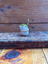 画像をギャラリービューアに読み込む, 貝殻屋根の小さなお家 ぽってりS〜プリザーブドモス&フラワーの貝殻オブジェ