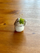 画像をギャラリービューアに読み込む, 貝殻屋根の小さなお家 ぽってりS〜プリザーブドモス&フラワーの貝殻オブジェ