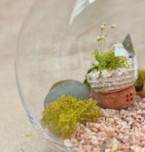 画像をギャラリービューアに読み込む, 貝殻屋根の小さなお家 ぽってりS(ココアブラウン)〜プリザーブドモス&フラワーの貝殻オブジェ