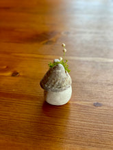 画像をギャラリービューアに読み込む, 貝殻屋根の小さなお家 ぽってりS〜プリザーブドモス&フラワーの貝殻オブジェ