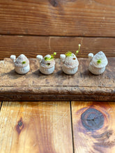 画像をギャラリービューアに読み込む, 貝殻屋根の小さなお家 ぽってりS〜プリザーブドモス&フラワーの貝殻オブジェ