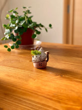 画像をギャラリービューアに読み込む, 貝殻屋根の小さなお家 ぽってりS(ココアブラウン)〜プリザーブドモス&フラワーの貝殻オブジェ