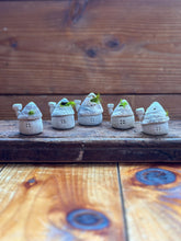 画像をギャラリービューアに読み込む, 貝殻屋根の小さなお家 ぽってりS〜プリザーブドモス&フラワーの貝殻オブジェ