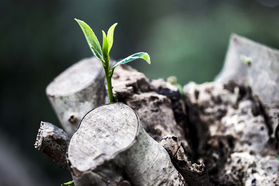 自分の成長を感じる時🌱