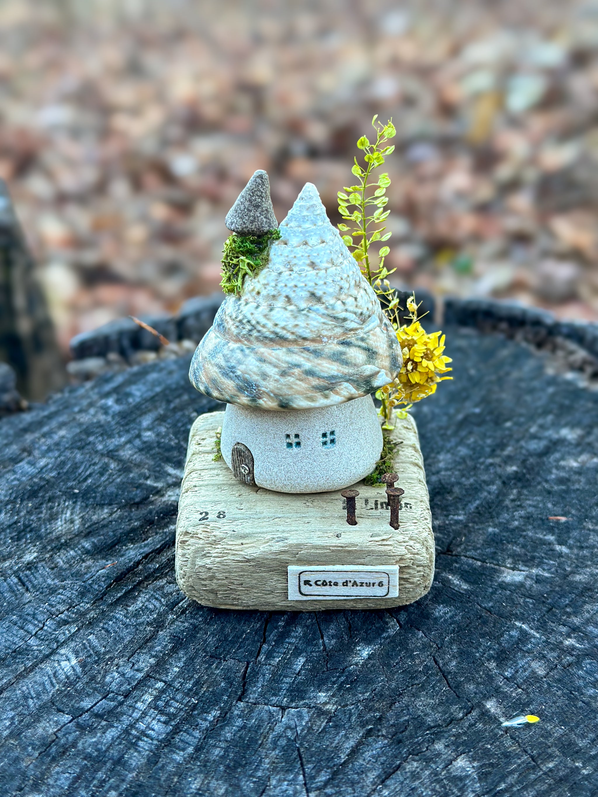 すべての商品 – しおかぜレモンのまち Lemon Breeze Town