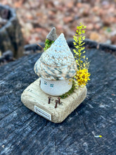 Load image into Gallery viewer, 【一点もの】貝殻屋根の螺旋の塔 - 流木台座付き / Maison Spirale
