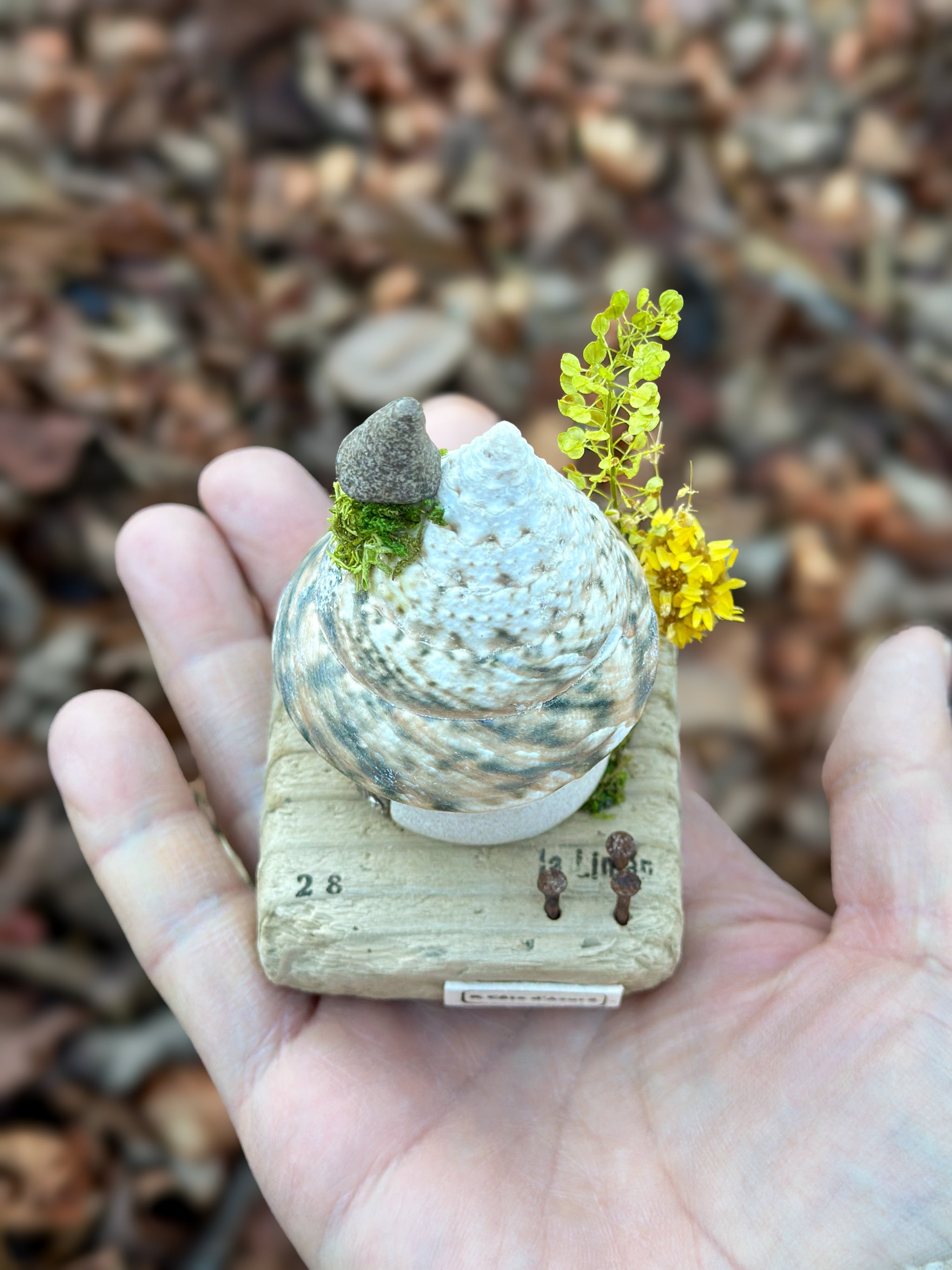 一点もの】貝殻屋根の螺旋の塔 - 流木台座付き / Maison Spirale