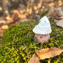 画像をギャラリービューアに読み込む, 赤壁の貝殻屋根の妖精ハウスS | 苔のある小さな家
