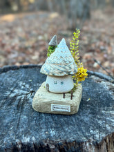 Load image into Gallery viewer, 【一点もの】貝殻屋根の螺旋の塔 - 流木台座付き / Maison Spirale
