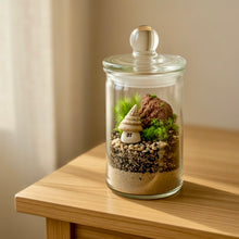 画像をギャラリービューアに読み込む, 妖精とお家のミニセット〜テラリウム用ガーデンピック（防水加工済）
