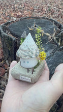 Load and play video in Gallery viewer, 【一点もの】貝殻屋根の螺旋の塔 - 流木台座付き / Maison Spirale

