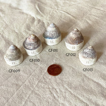 Load image into Gallery viewer, 北欧の貝殻屋根のリングホルダー（バニラホワイト）
