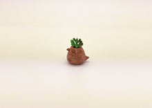 Load image into Gallery viewer, コッコポット（ココアブラウン）Sサイズ〜多肉植物のミニプランター
